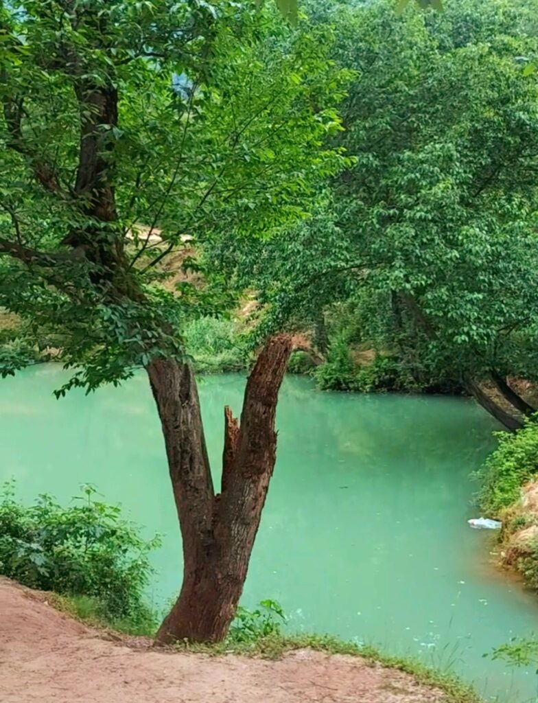 بلاگ یک